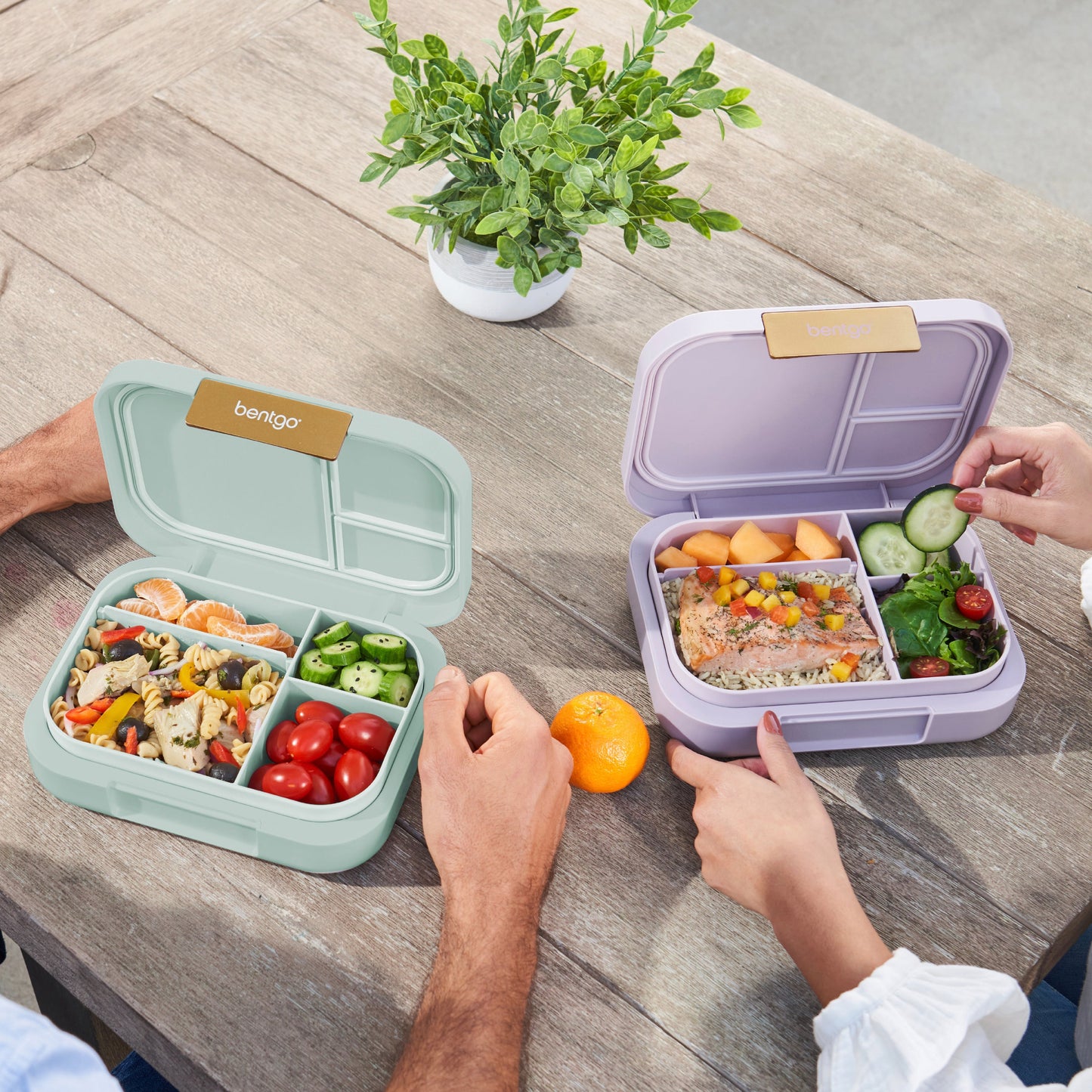 bentgo-modern-lunch-box-2-pack-m8 COSTCOBMCPRODUCTIMAGE_2.jpg